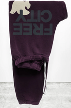 Load image into Gallery viewer, Free City Sweatpant